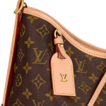 CarryAll MM M46197 - 图片 6